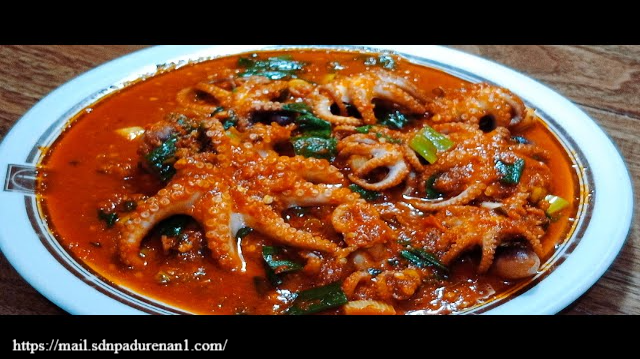 Baby Octopus Adalah: Panduan Lengkap