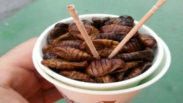 Makanan Khas dari Berbagai Negara Berbahan Dasar Serangga